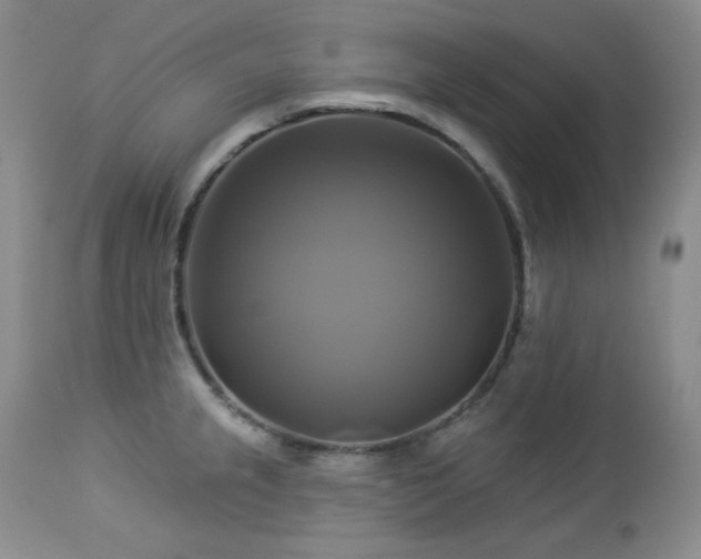 X0000113051237200908271523