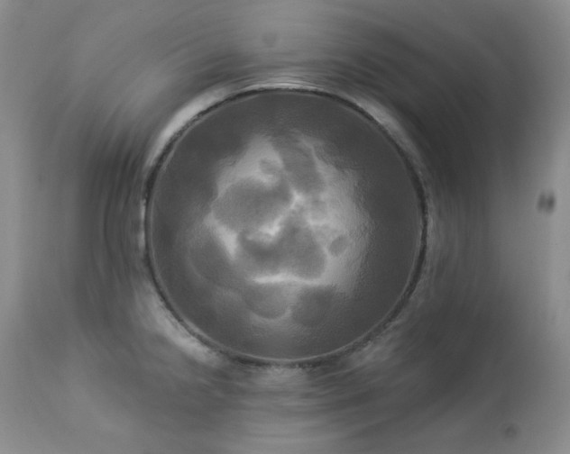 X0000113051238200908271523
