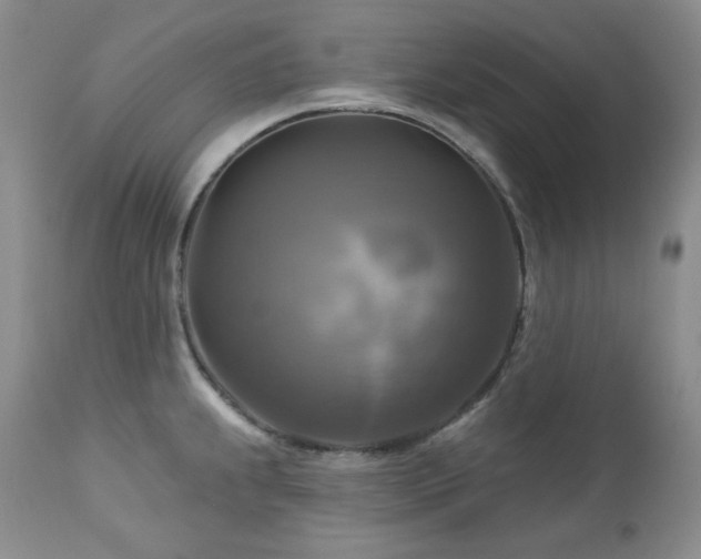X0000113051239200908271523