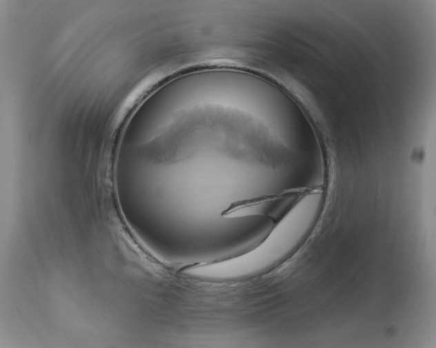 X0000113051240200908271523