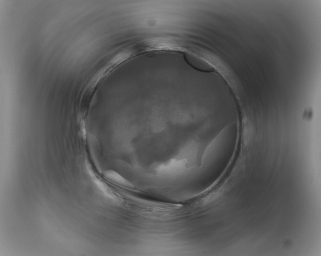 X0000113051241200908271523
