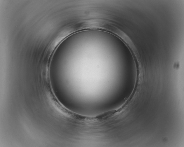 X0000113051242200908271523