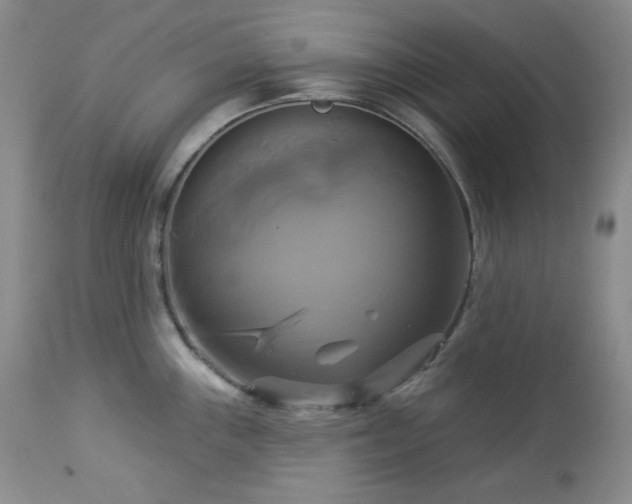 X0000113051243200908271523