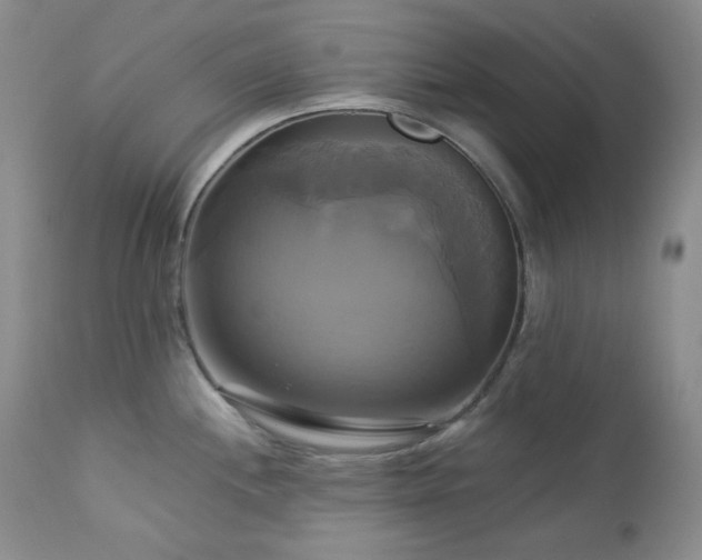 X0000113051244200908271523