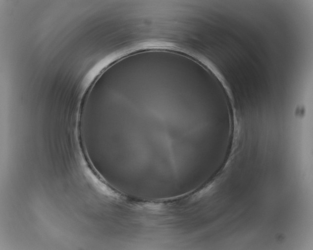 X0000113051245200908271523