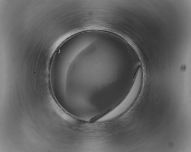 X0000113051246200908271523