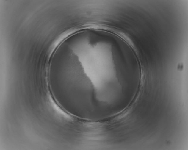 X0000113051247200908271523