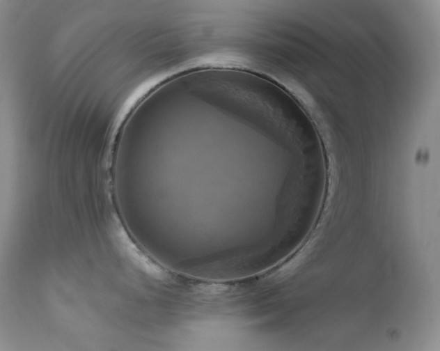 X0000113051248200908271523