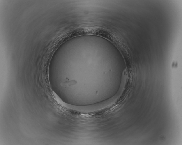 X0000113051249200908271522