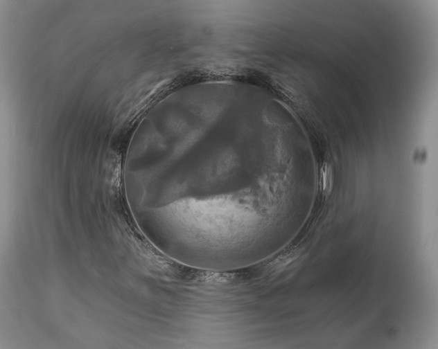 X0000113051251200908271522
