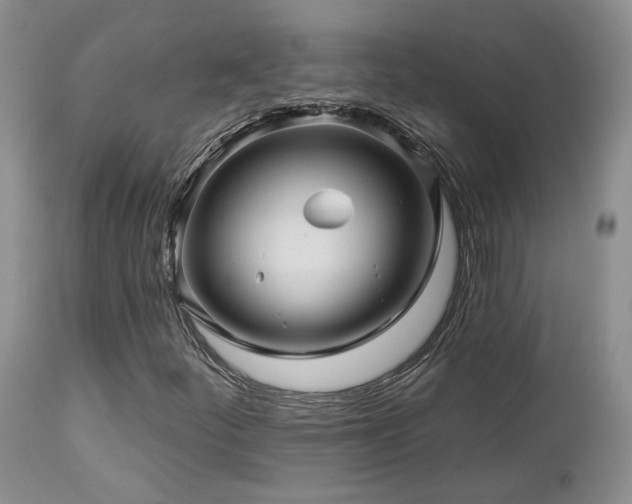 X0000113051252200908271522