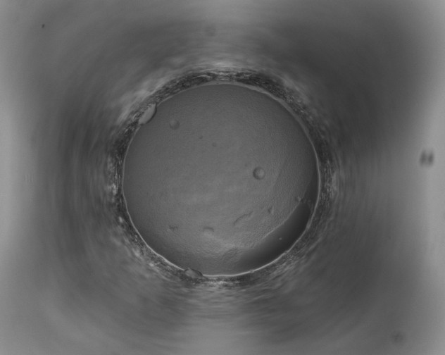 X0000113051253200908271522
