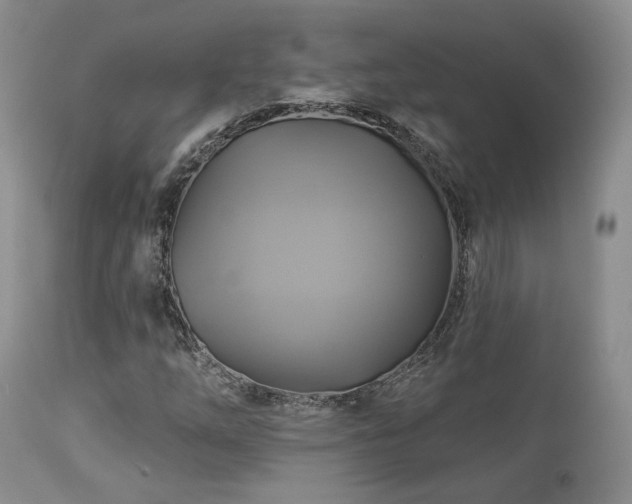 X0000113051254200908271522