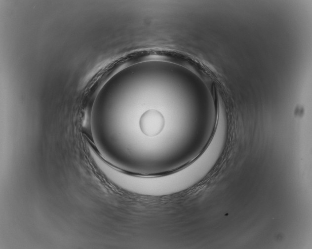 X0000113051255200908271522