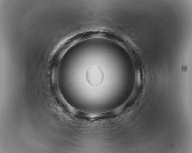 X0000113051256200908271522