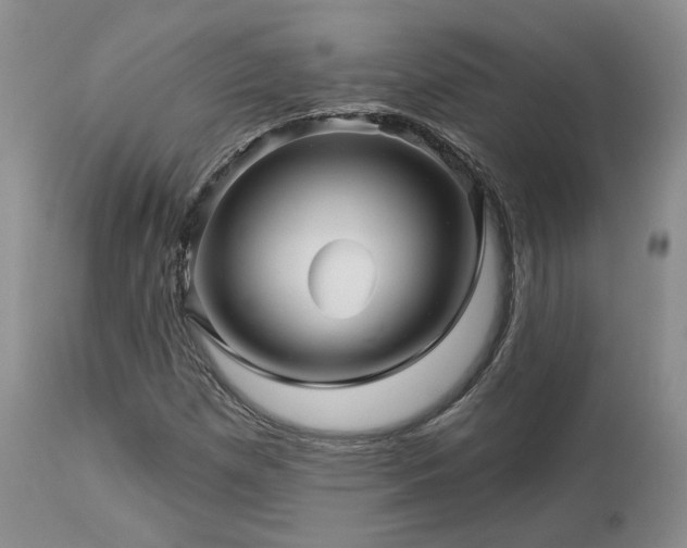 X0000113051257200908271522
