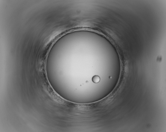 X0000113051258200908271522