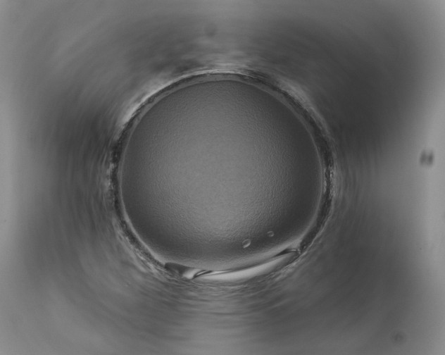 X0000113051260200908271522