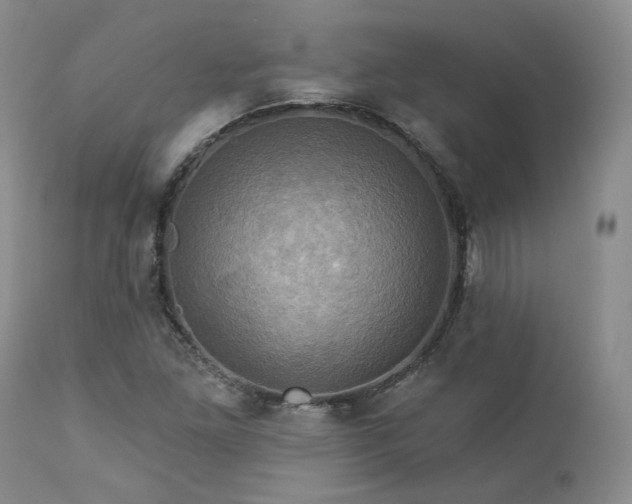 X0000113051261200908271522