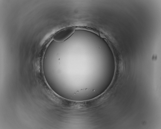 X0000113051262200908271522