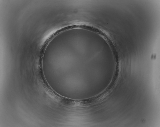 X0000113051263200908271522