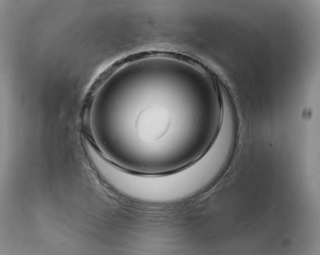 X0000113051264200908271522