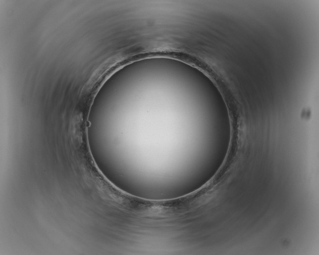 X0000113051265200908271522