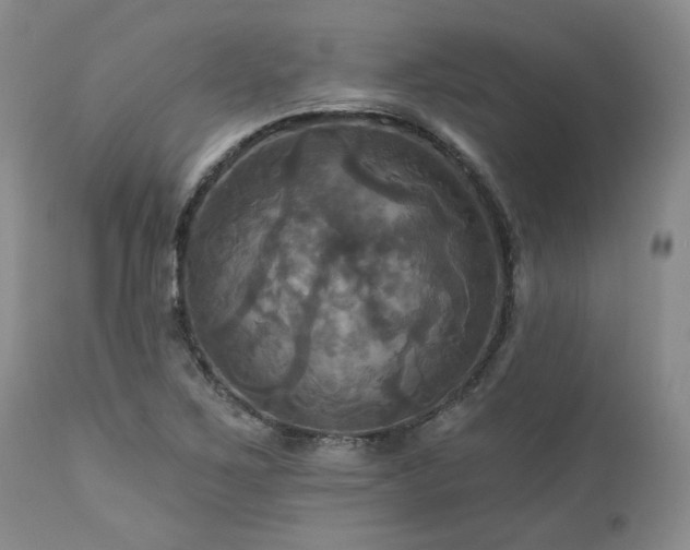 X0000113051267200908271522