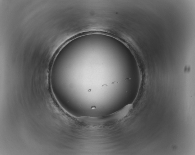 X0000113051268200908271522