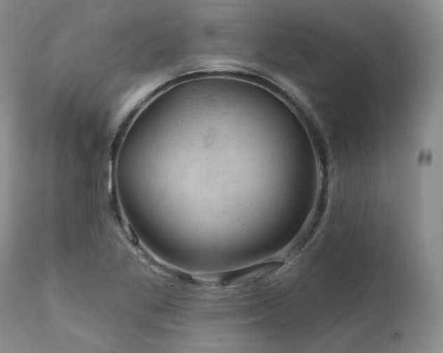 X0000113051269200908271522