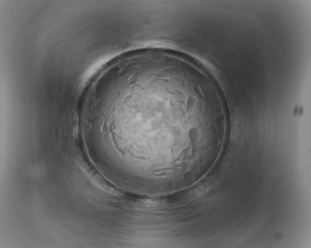 X0000113051271200908271521