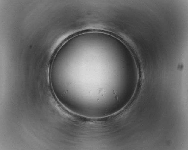 X0000113051272200908271521