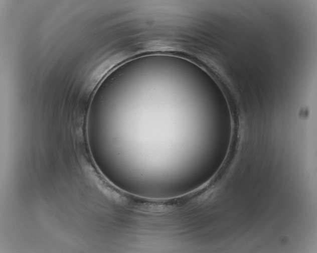 X0000113051273200908271521