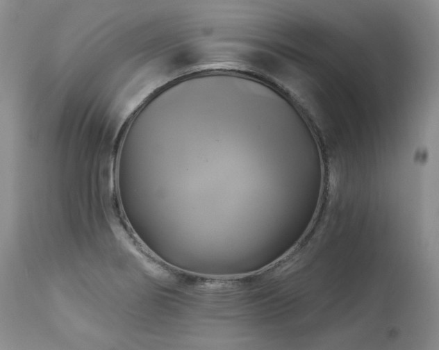 X0000113051274200908271521