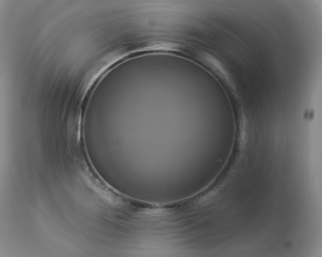 X0000113051276200908271521