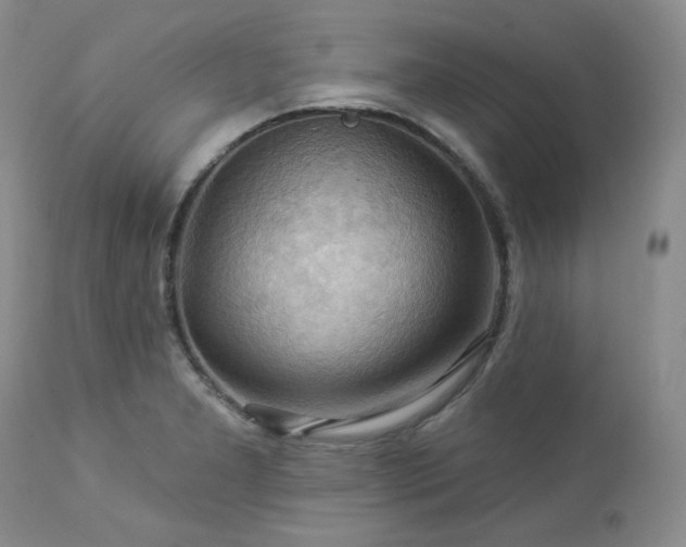 X0000113051277200908271521