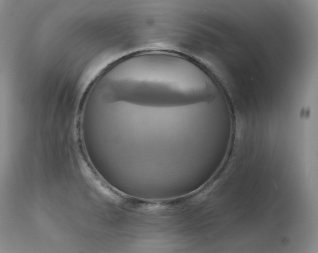 X0000113051278200908271521