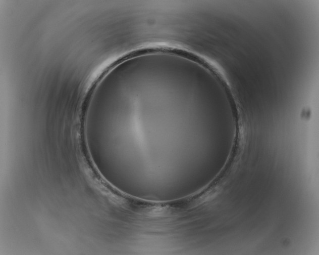 X0000113051279200908271521