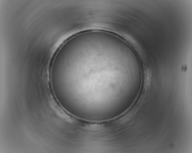 X0000113051280200908271521