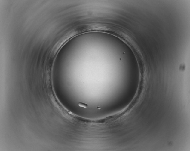 X0000113051281200908271521