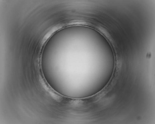 X0000113051282200908271521