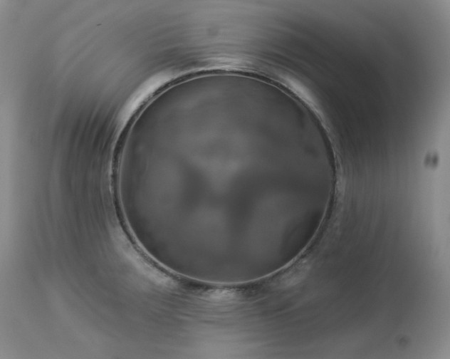 X0000113051283200908271521