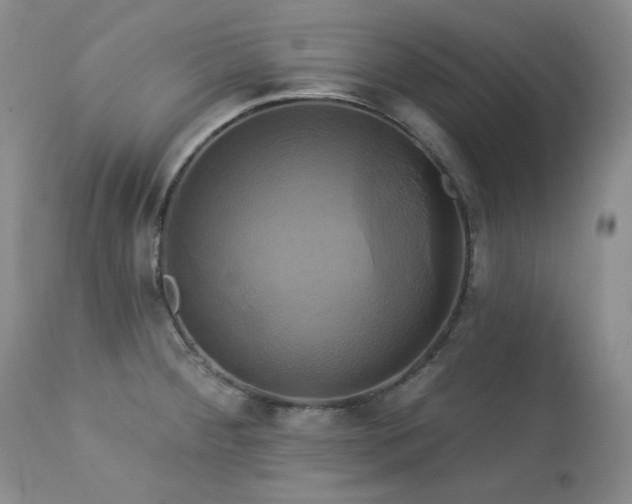X0000113051284200908271521