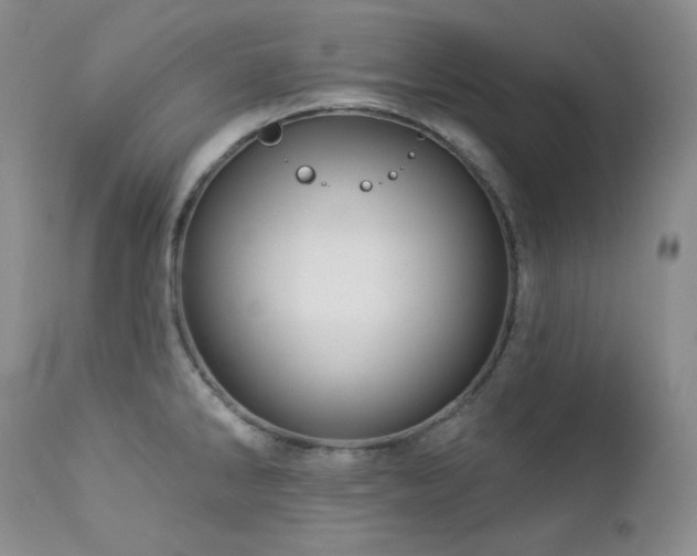 X0000113051286200908271521