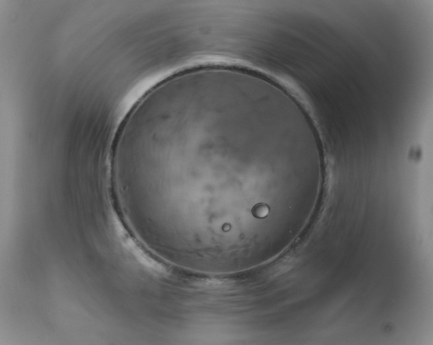 X0000113051287200908271521