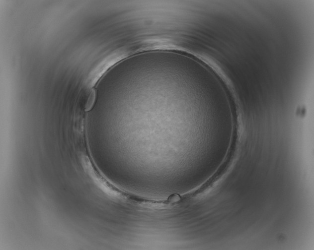 X0000113051289200908271521