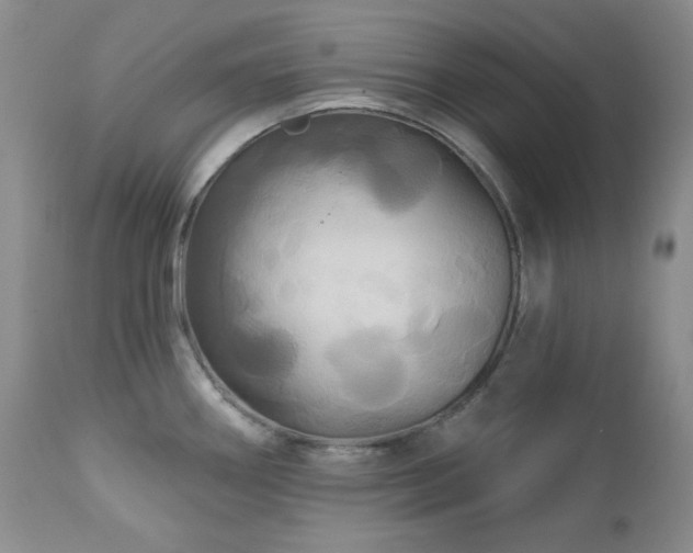 X0000113051290200908271521