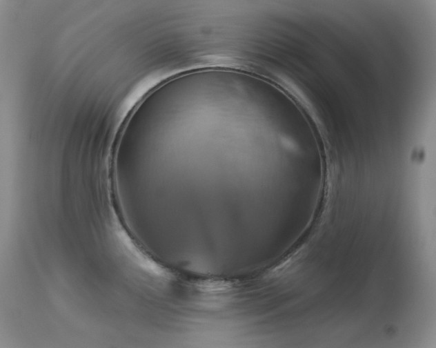 X0000113051291200908271521