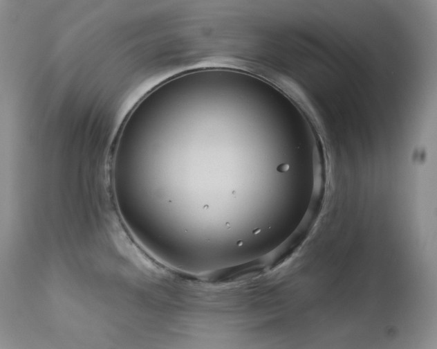 X0000113051292200908271521