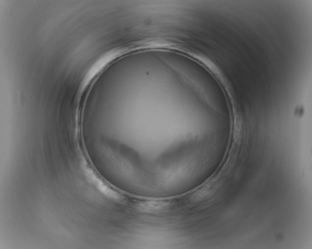 X0000113051294200908271521